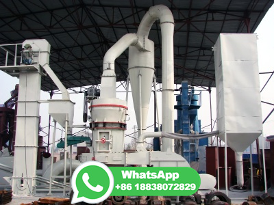 Rotor Hammer Mill Type